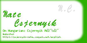 mate csjernyik business card